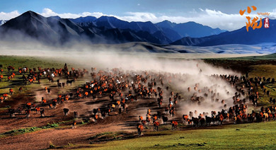 蹄印河西走廊：山丹馬的千年牧歌