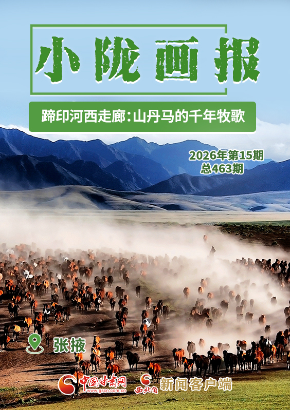 【小隴畫報(bào)·463期】蹄印河西走廊：山丹馬的千年牧歌