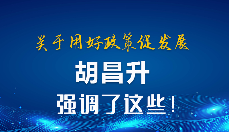 圖解|關(guān)于用好政策促發(fā)展 胡昌升強(qiáng)調(diào)了這些！