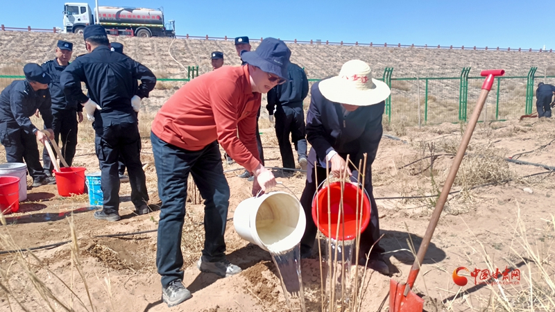 植樹披綠八步沙